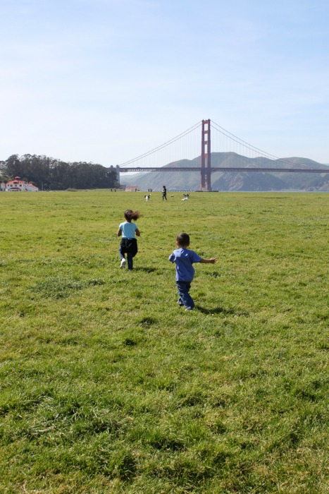 Golden Gate Park