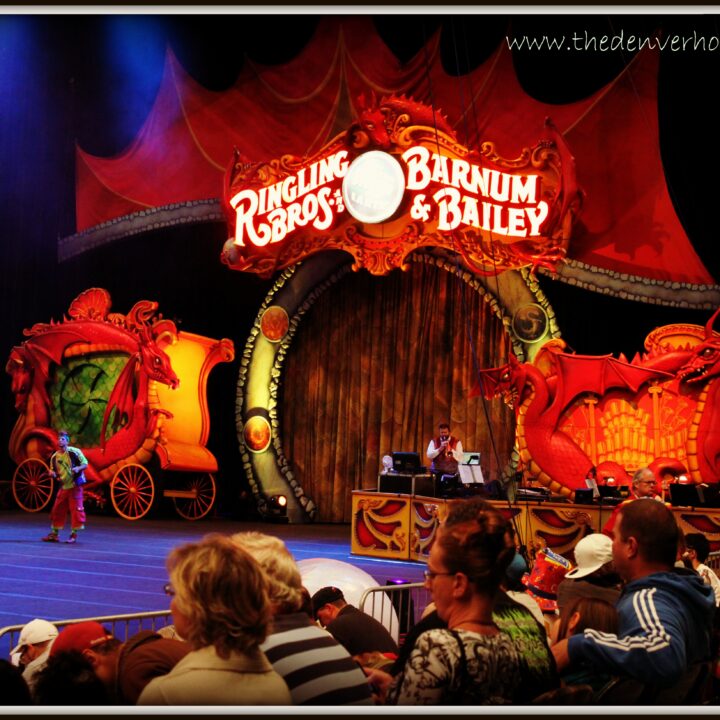 Our adventure with Ringling Bros. and Barnum & Bailey Dragons!