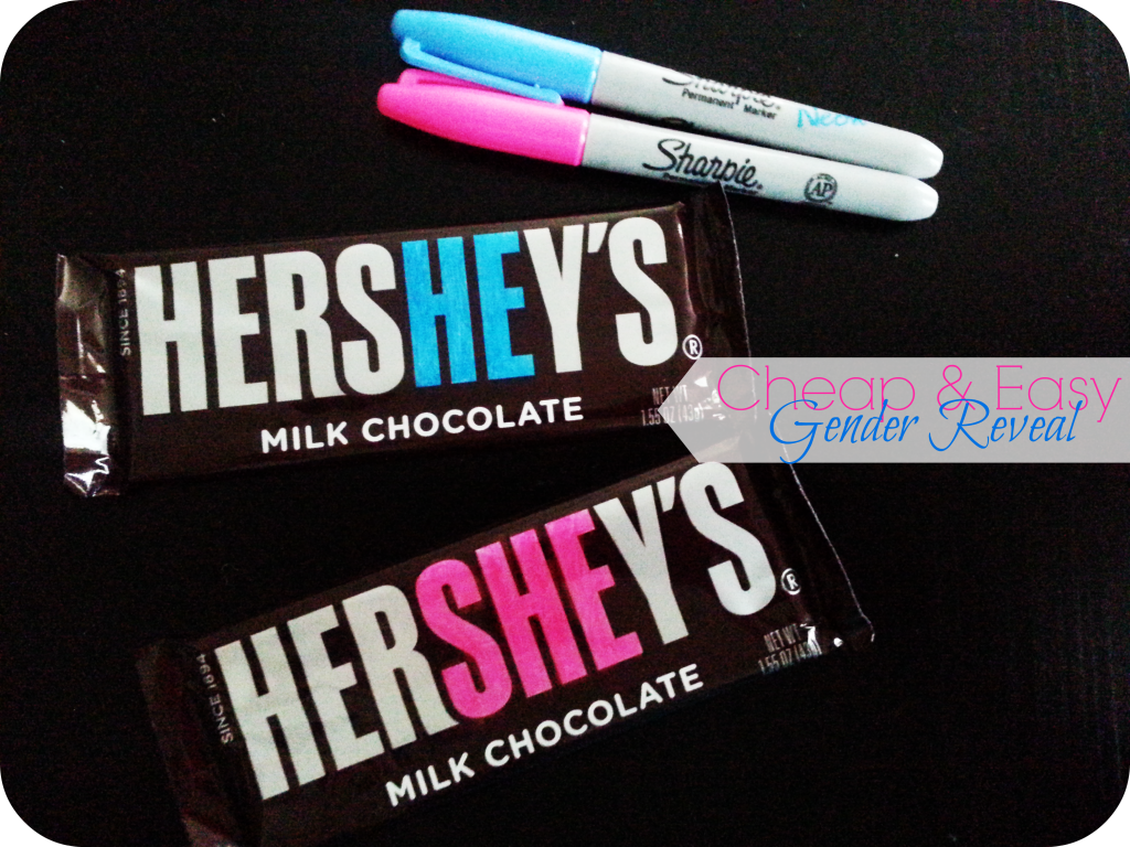 Cheap and easy baby gender reveal the denver housewife