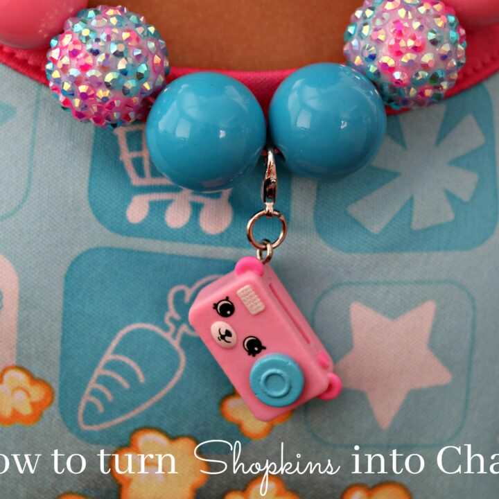 Turning Your Favorite Shopkins into Charms!