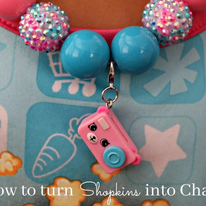 Turning Your Favorite Shopkins into Charms!