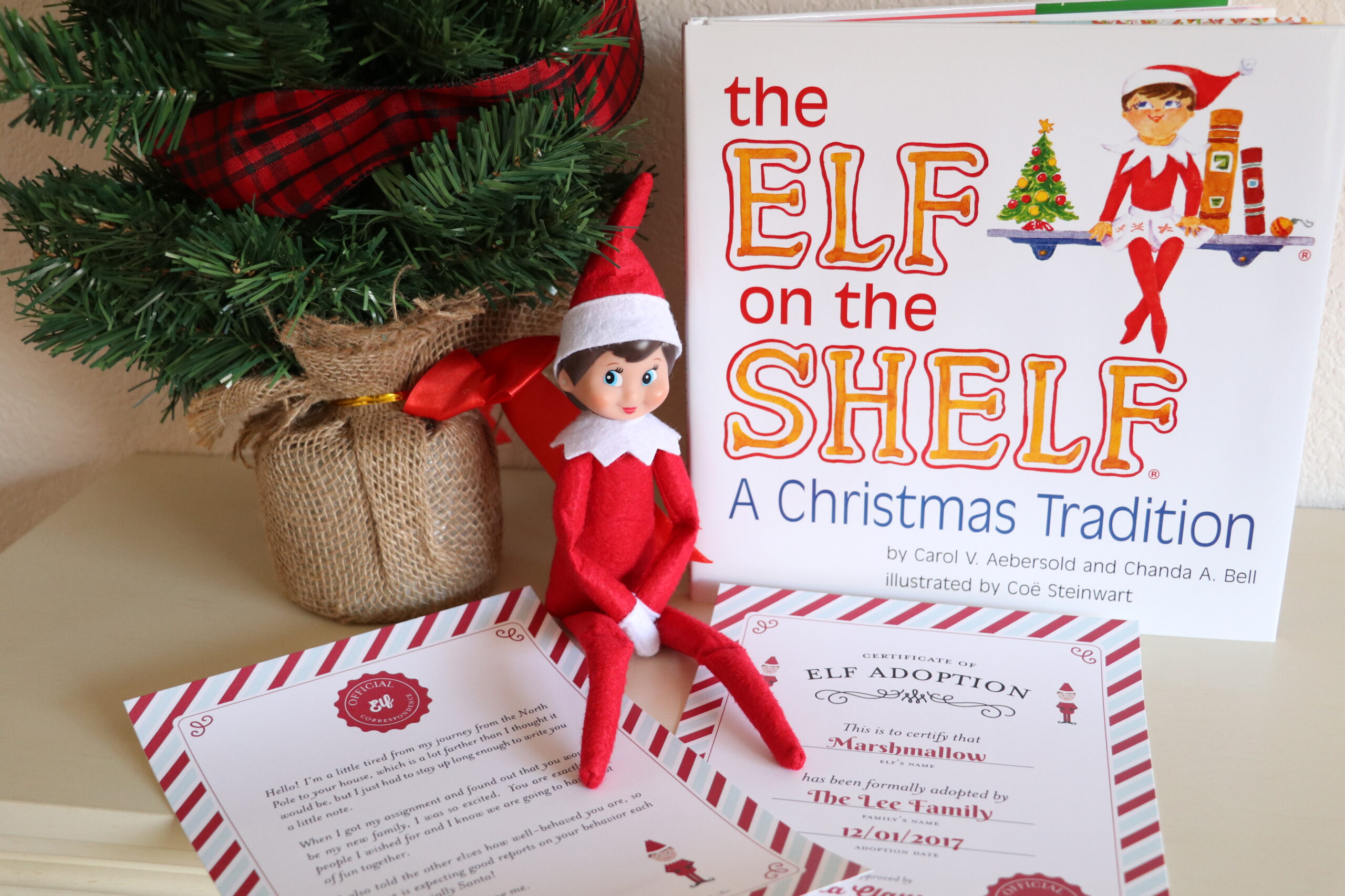 2021 24 Days of Elf on The Shelf Ideas & Elf on the Shelf Calendar!