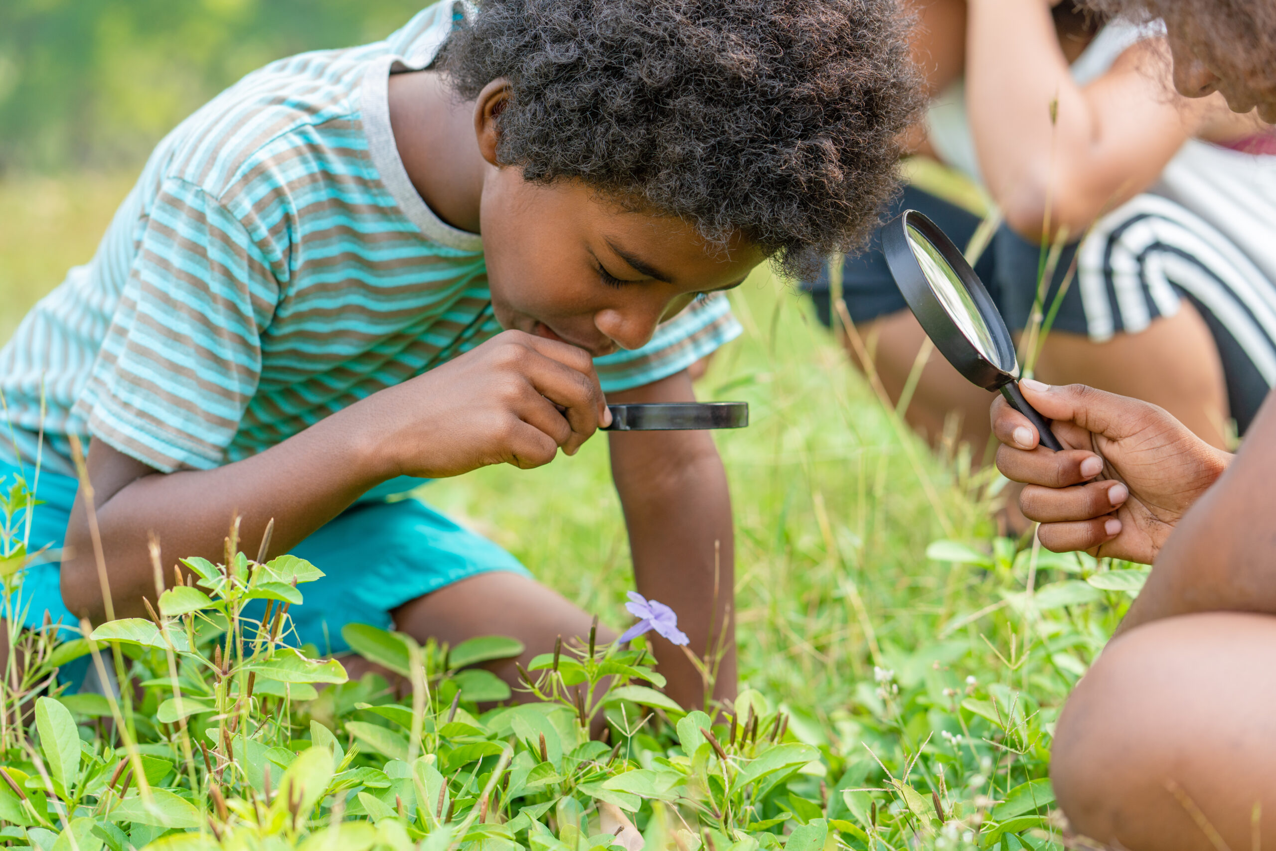 101 Free (or low cost) Things to Do This Summer with Kids! » The Denver ...