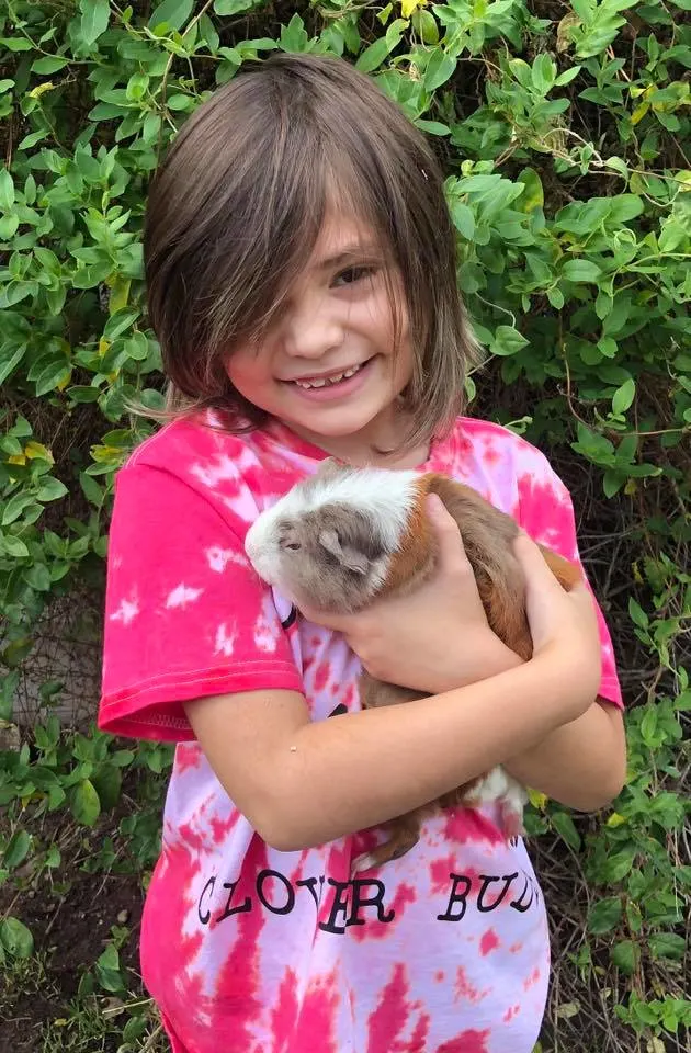 Raising guinea pigs with 4-H