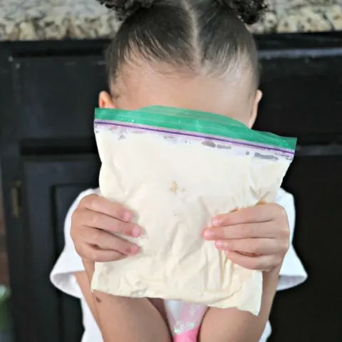 Ice Cream in a Bag Kid Recipe