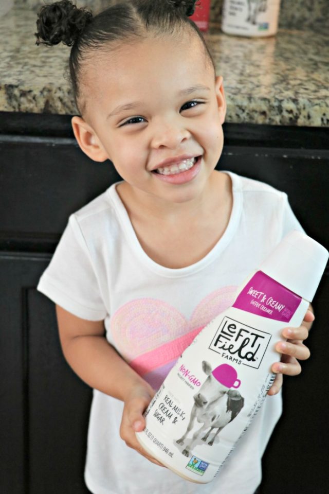 Kid Recipe Homemade Ice Cream in a Bag » The Denver Housewife