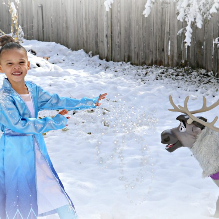 5 Frozen 2 Toys Perfect for Any Disney’s Frozen Lover