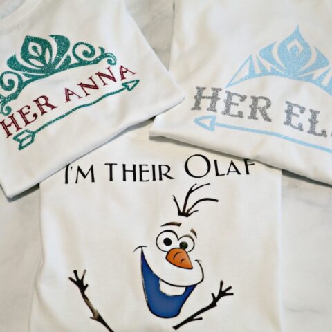 Disney Frozen Sibling Shirts