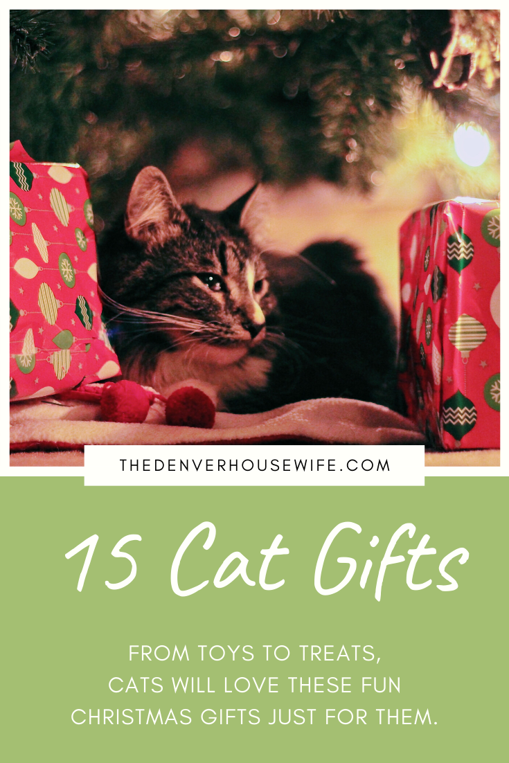 15 of the Best Christmas Gifts for Cats » The Denver Housewife