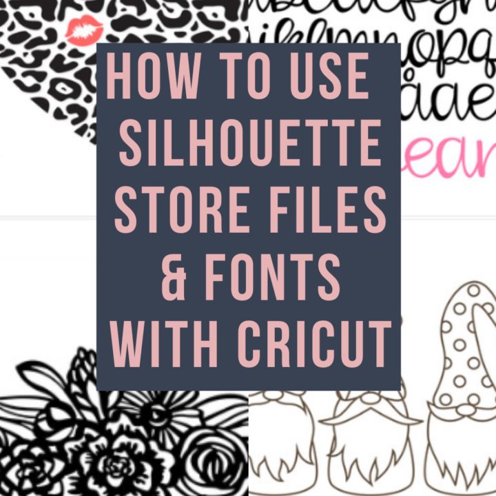 How to Use Silhouette Cameo Design Store SVG’s with Your Cricut Explore Air 2