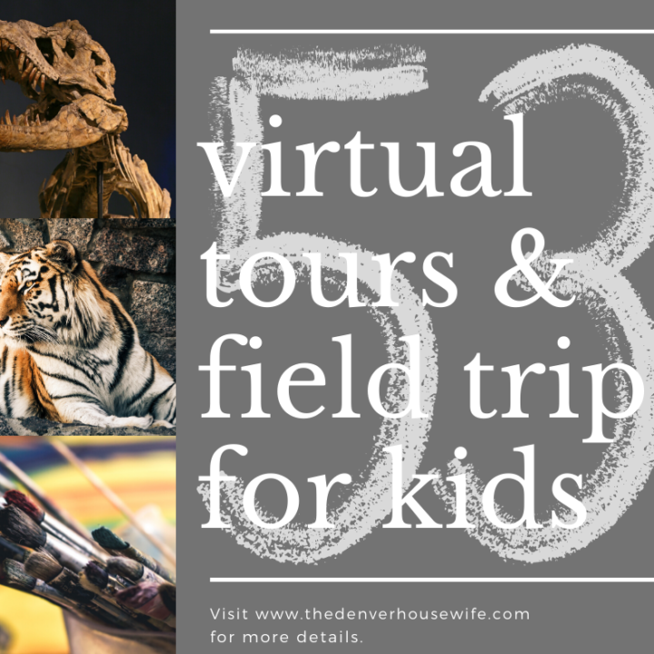 Field Trips and Virtual Tours For Kids