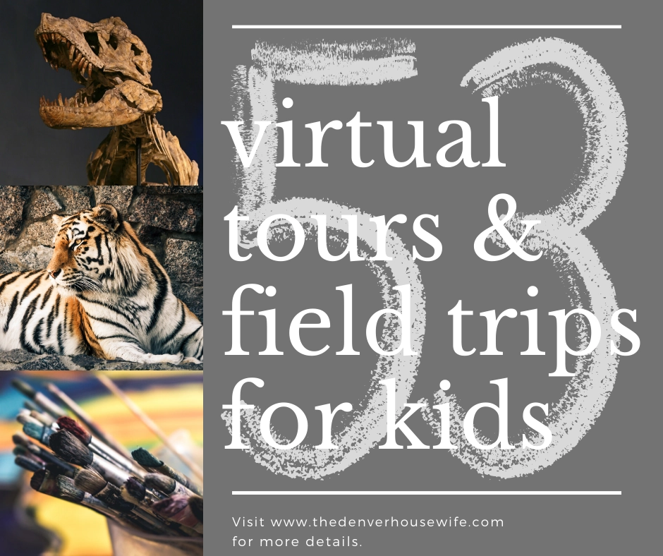 53 Virtual Tours and Field Trips for Kids