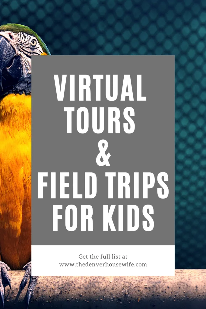 53 Virtual Tours and Field Trips for Kids
