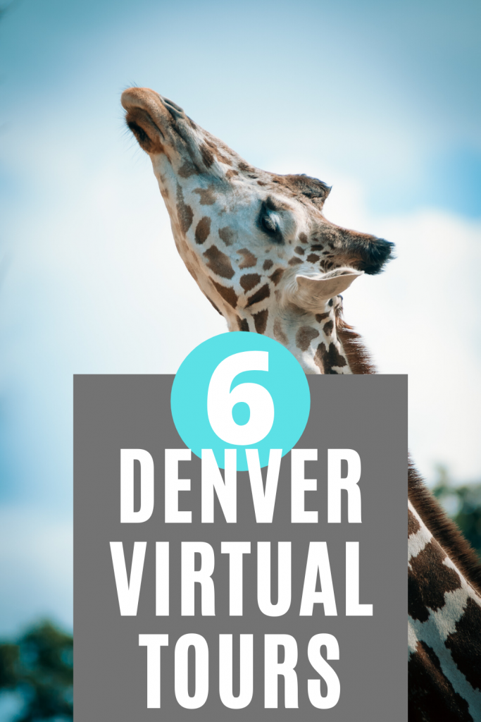 Denver Virtual Tours to Take from Home