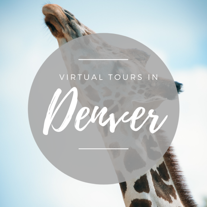 6 Denver Virtual Tours