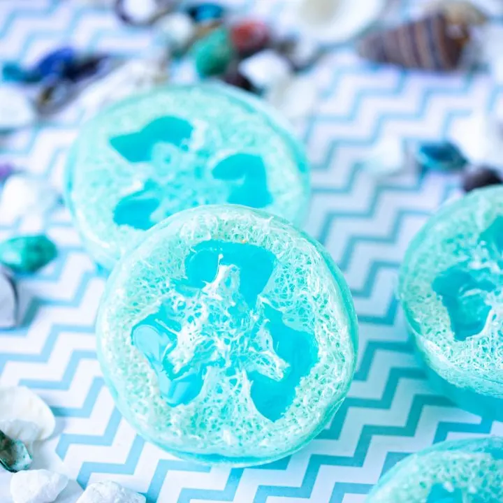 DIY Beach Happiness Loofah Soap