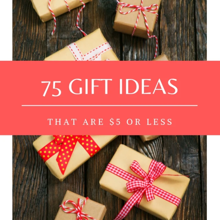 $5 Dollar Store Gift Ideas for Everyone on Your List - Organize by