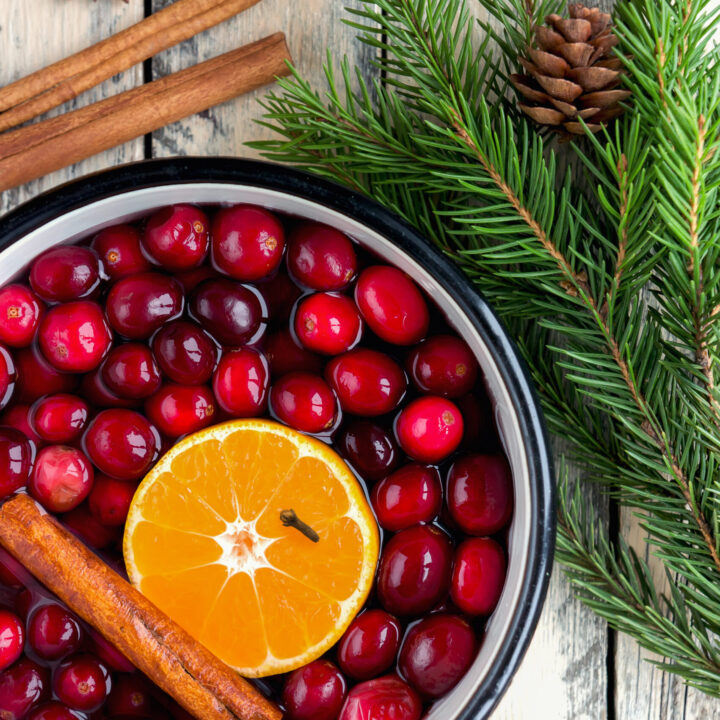 Christmas stovetop potpourri