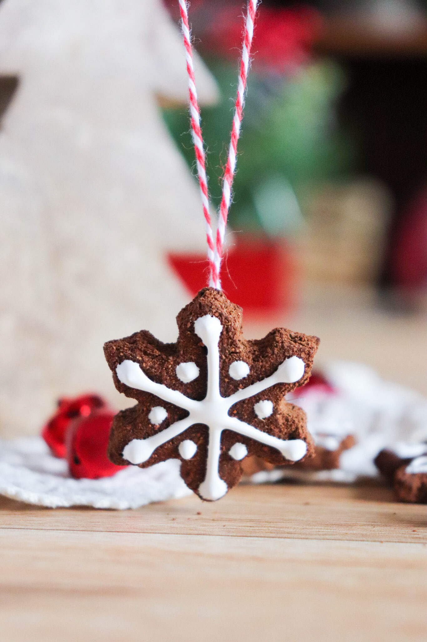 Easy Homemade Apple Cinnamon Ornaments » The Denver Housewife