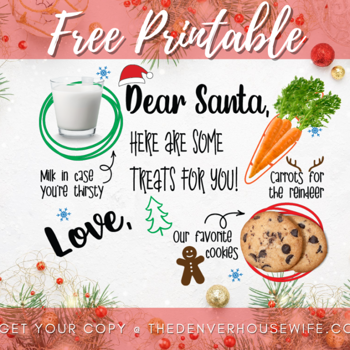 Free Printable Santa Placemat for Christmas