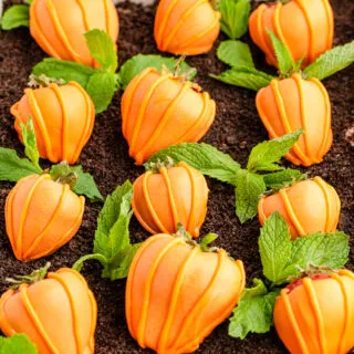 chocolate covered strawberry pumpkins