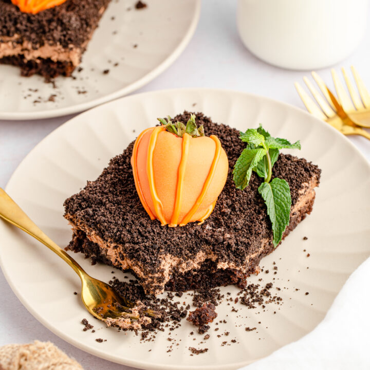 Strawberry Pumpkin Patch Dirt Brownies