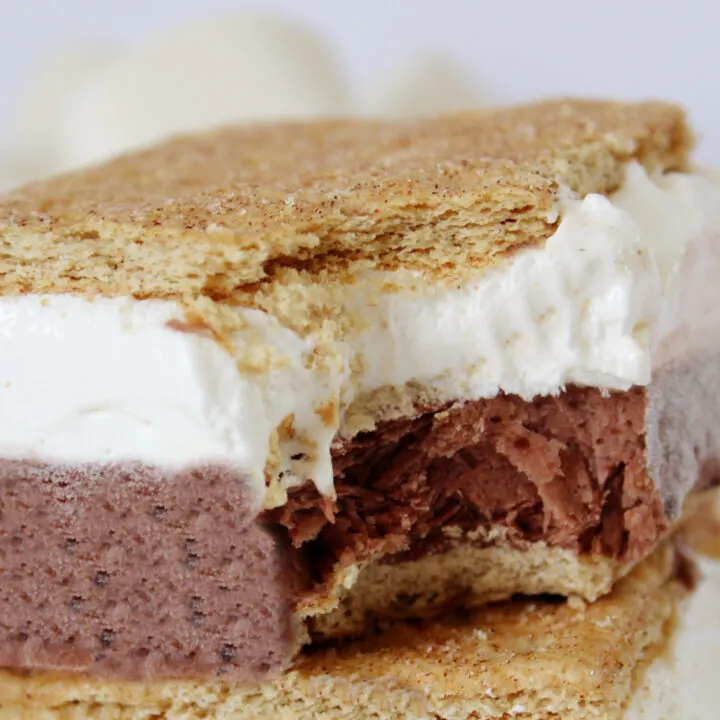 Frozen S'mores