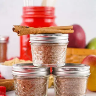 homemade apple cider powder mix